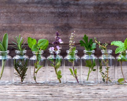 Bottle of essential oil with herbs holy basil flower, basil flower,rosemary,oregano, sage,parsley ,thyme and mint set up on old wooden background .; Shutterstock ID 362623601; Purchase Order: Smolej & Friends; Job: SPA Menü; Client/Licensee: AVITA